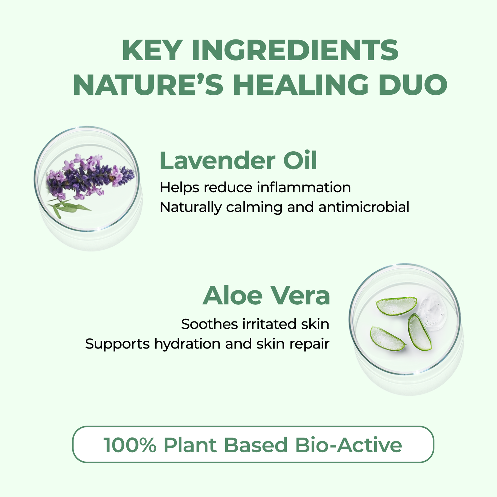 Dewdrop F4 Dewdrop F4